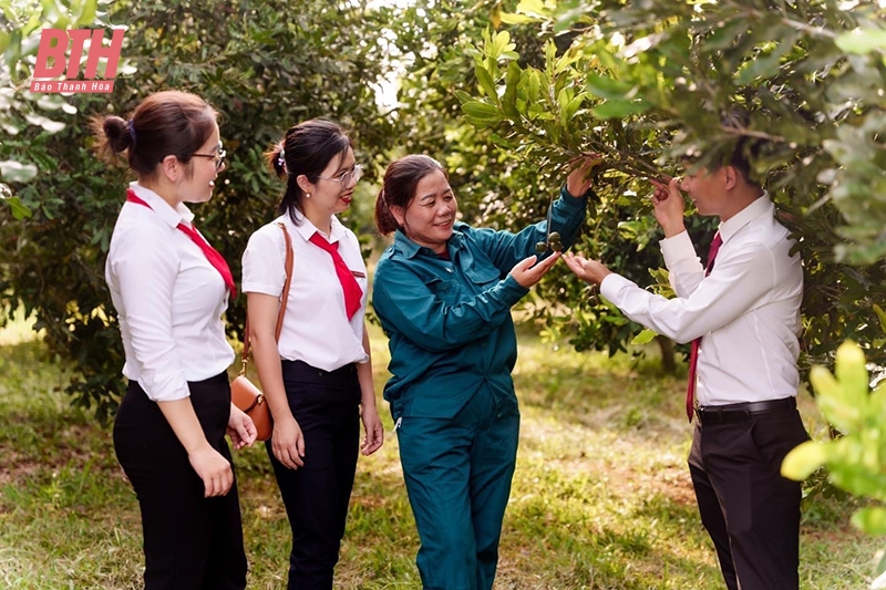 Đầu tư nguồn vốn góp phần xây dựng nông thôn mới trên địa bàn