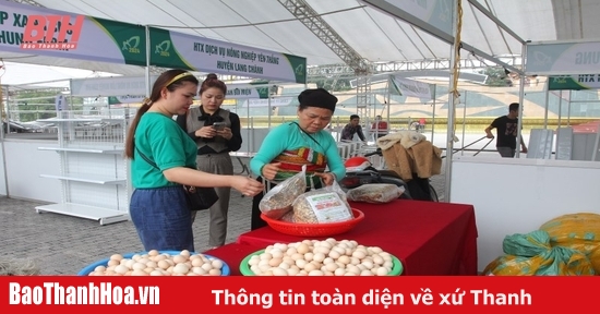 Sẵn sàng cho không gian quảng bá, giới thiệu sản phẩm nông nghiệp, sản phẩm OCOP