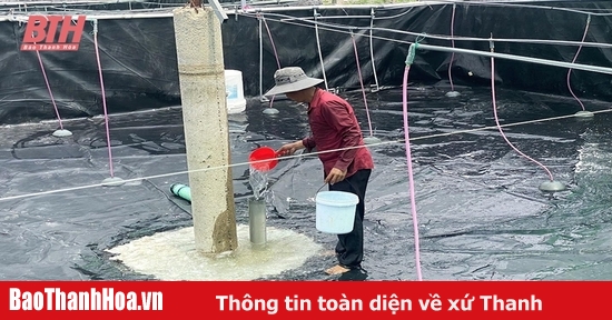 Chủ động các điều kiện nuôi trồng thủy sản vụ xuân hè