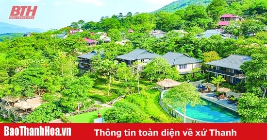 Về xứ Thanh xuân này...