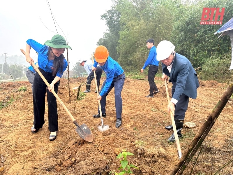 Đoàn Khối Cơ quan và Doanh nghiệp tỉnh ra quân Tháng Thanh niên 2024