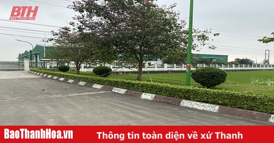 Tháo gỡ khó khăn, đẩy nhanh tiến độ xây dựng hạ tầng cụm công nghiệp