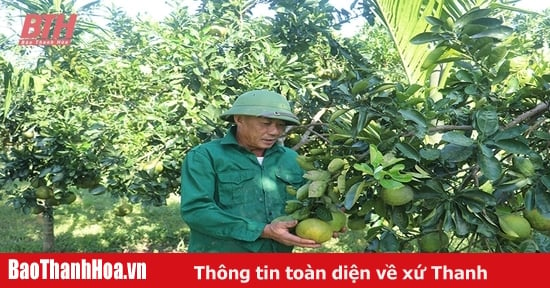 Thiệu Long phát triển nguồn lực xây dựng nông thôn mới kiểu mẫu