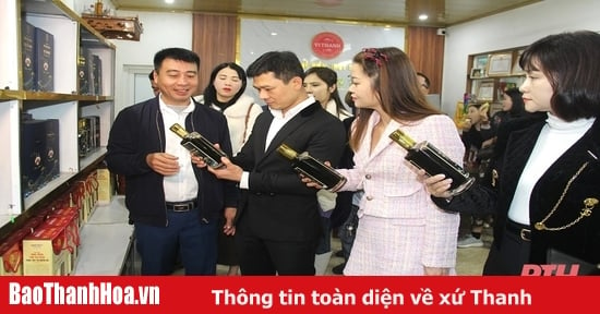 Hiệp hội Doanh nghiệp TP Thanh Hoá thăm, kết nối hội viên