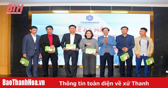 Công ty CP Tramexco ra mắt dịch vụ sửa chữa cơ điện trọn gói