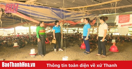 Hội LHPN Lang Chánh hỗ trợ hội viên phát triển kinh tế