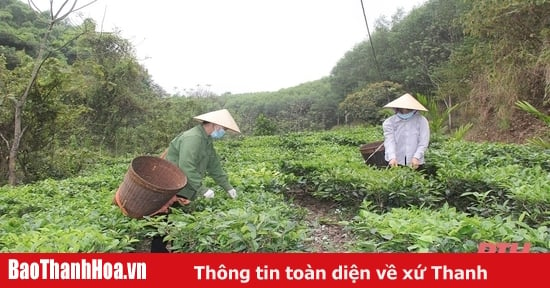 Công nhận 10 sản phẩm công nghiệp nông thôn tiêu biểu