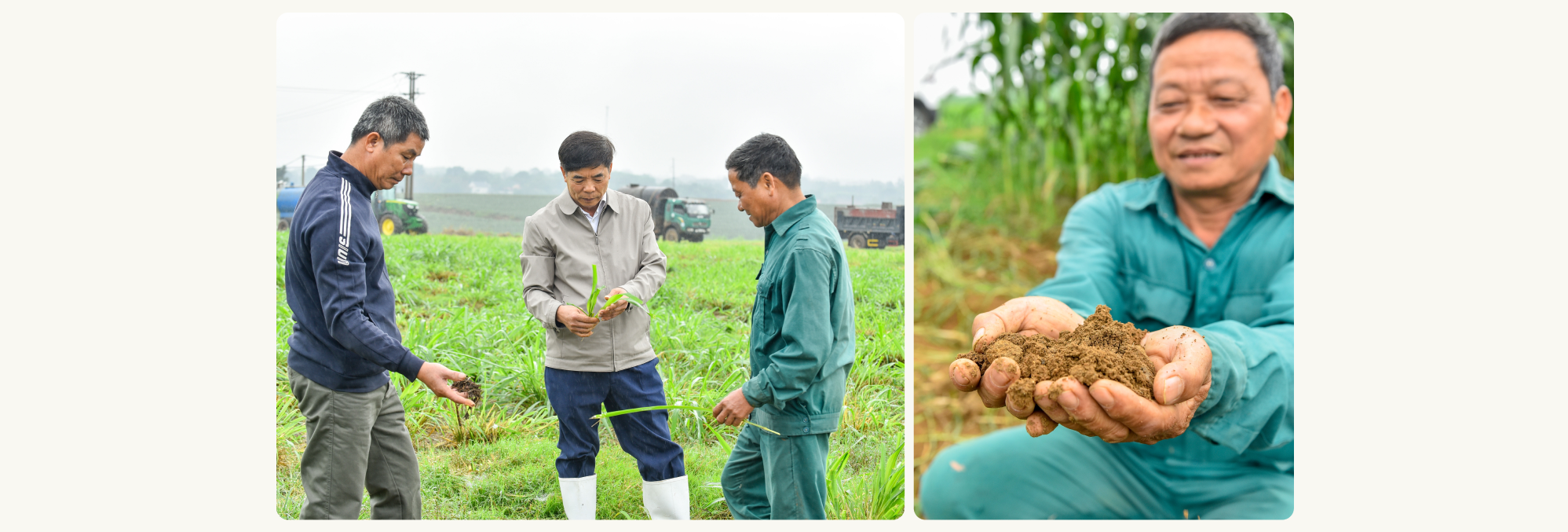 Vinamilk cùng nông dân hồi sinh những vùng đất nghèo cằn cỗi - Ảnh 11.