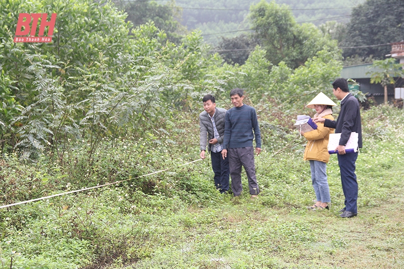 La ville de Nghi Son se concentre sur le déblaiement du site