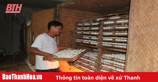 Vai trò của con giống trong phát triển chăn nuôi