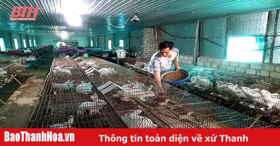 Quảng Xương tập trung tái đàn gia súc, gia cầm sau tết