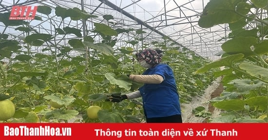 Phát triển sản phẩm nông nghiệp tiềm năng, lợi thế