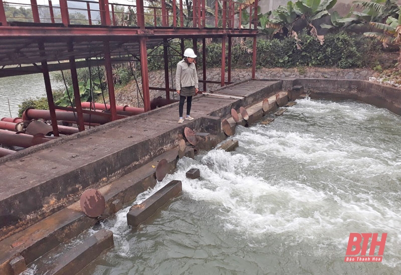 Hau Loc : Surmonter de manière proactive l'intrusion de salinité et assurer une quantité suffisante d'eau d'irrigation pour la production agricole