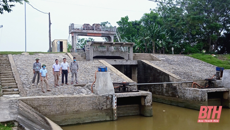 Hau Loc : Surmonter de manière proactive l'intrusion de salinité et assurer une quantité suffisante d'eau d'irrigation pour la production agricole