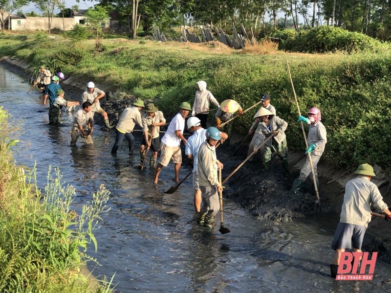 Hau Loc : Surmonter de manière proactive l'intrusion de salinité et assurer une quantité suffisante d'eau d'irrigation pour la production agricole