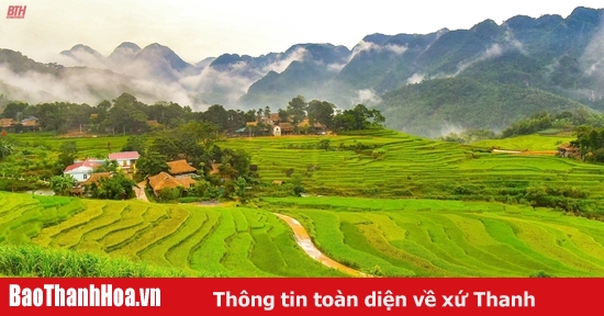 Bá Thước phát huy tiềm năng, thế mạnh để xây dựng các sản phẩm đặc sản địa phương