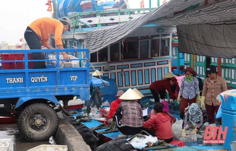 Vì mục tiêu gỡ “thẻ vàng” IUU ( Bài 1): Thẻ vàng - cảnh báo... đỏ