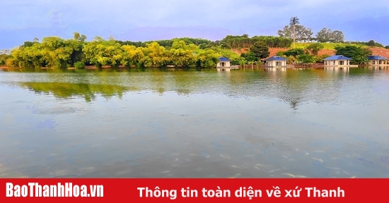 Cuộc trở mình theo thời đại