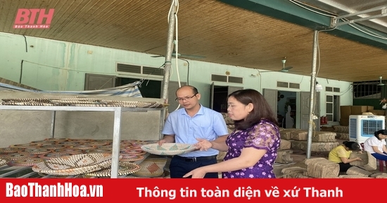 Phát triển nghề mây tre đan