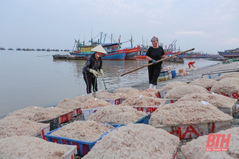 Vì mục tiêu gỡ thẻ vàng IUU (Bài 3): Vì danh dự quốc gia và những mục tiêu lâu dài