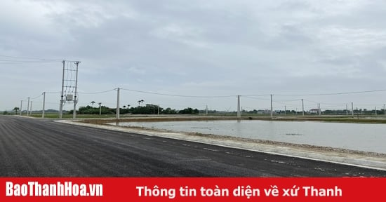 Khẩn trương thực hiện quy trình, thủ tục để đấu giá quyền sử dụng đất các dự án