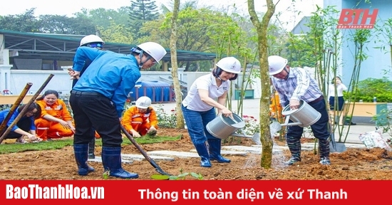 Công ty Điện lực Thanh Hóa phát động Tết trồng cây Xuân Giáp Thìn 2024