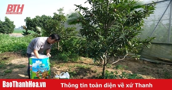 Tạo mối liên kết chặt chẽ giữa doanh nghiệp và nhà nông