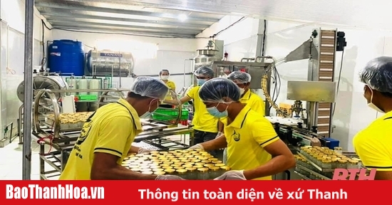 Nội dung, chính sách hỗ trợ tư vấn doanh nghiệp nhỏ và vừa trên địa bàn tỉnh