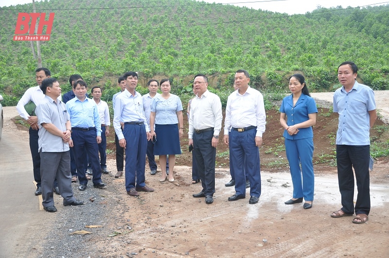 Suivi du programme national cible pour le développement socio-économique du district de Nhu Thanh