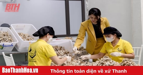 Nhiều khó khăn trong nâng hạng sản phẩm OCOP