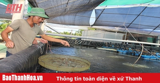 Hướng tới phát triển ngành thủy sản bền vững