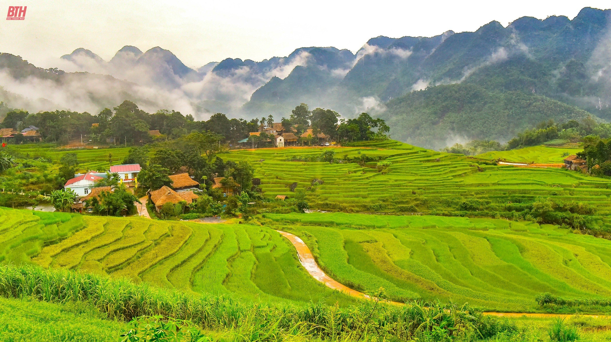 Bá Thước phát huy tiềm năng, thế mạnh để xây dựng các sản phẩm đặc sản địa phương