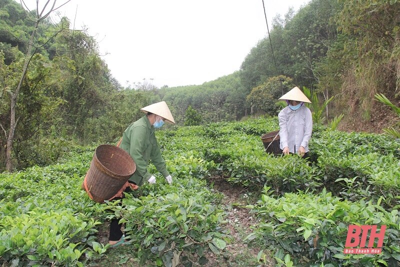 Công nhận 10 sản phẩm công nghiệp nông thôn tiêu biểu