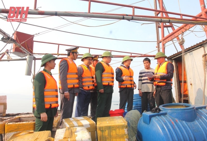 Checking anti-IUU fishing work at designated fishing ports