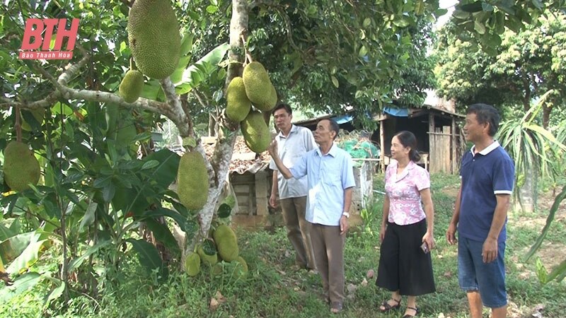 Như Thanh thực hiện các giải pháp tái cơ cấu nông nghiệp