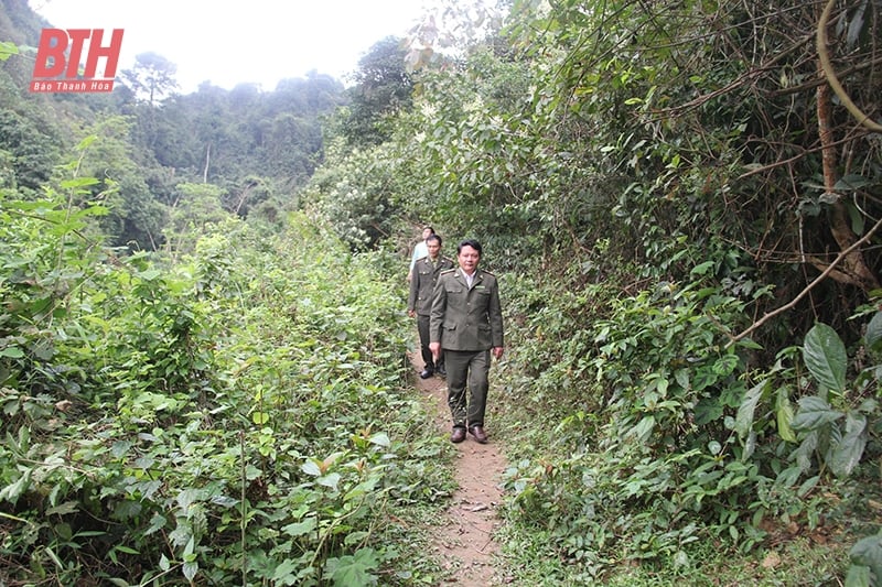 Nhu Xuan gestiona, protege y desarrolla bosques sostenibles.