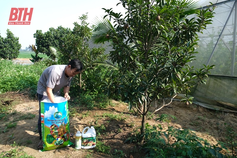 Tạo mối liên kết chặt chẽ giữa doanh nghiệp và nhà nông