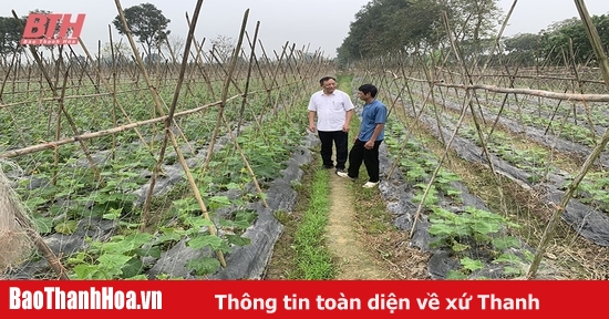 “Bà đỡ” cho thành viên phát triển sản xuất, kinh doanh