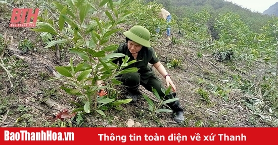 Xây dựng mô hình trồng rừng thâm canh gỗ lớn bằng giống keo lai nuôi cấy mô