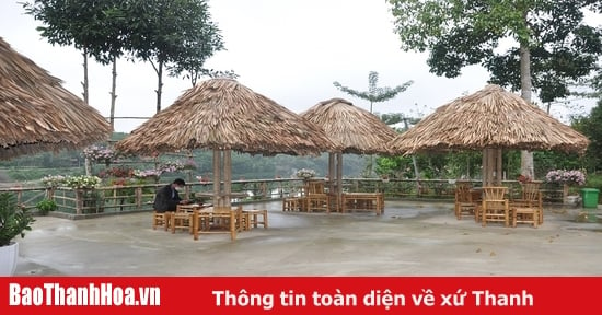 Thuong Xuan welcomes more than 81,000 tourists in the first quarter of 2024