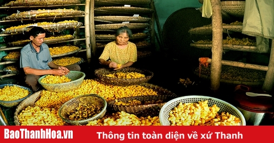 Đau đáu hồi sinh làng nghề ươm tơ, dệt nhiễu