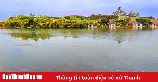 “Hi_KING LAKE” - ពីសម្រស់ភ្លឺចែងចាំង ទៅជា surrealism