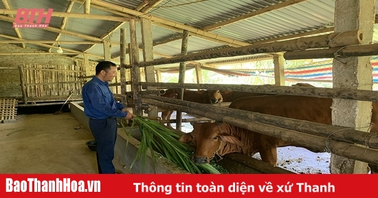 Hỗ trợ đoàn viên phát triển sản xuất, kinh doanh