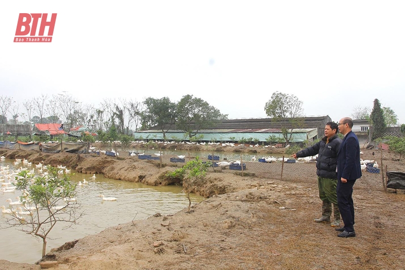 Replicating the model of organic agricultural production, circular waste-free