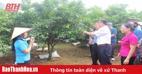 Hội Làm vườn và Trang trại tập huấn truyền thông về nông nghiệp