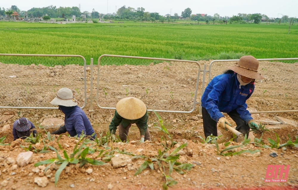 Hoàn thành các nút giao Thiệu Giang và Đồng Thắng với cao tốc Mai Sơn - Quốc lộ 45