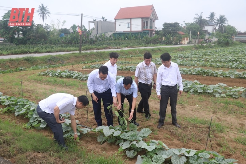 Hoang Hoa combines the construction of advanced and exemplary new rural areas with urban development.