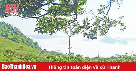 Khám phá đồi Hích