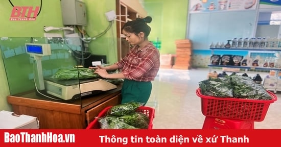 Những gian hàng giới thiệu nông sản an toàn