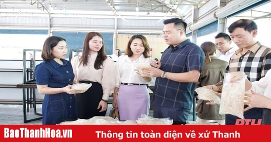 Hiệp hội Doanh nghiệp TP Thanh Hóa thăm, làm việc với doanh nghiệp hội viên